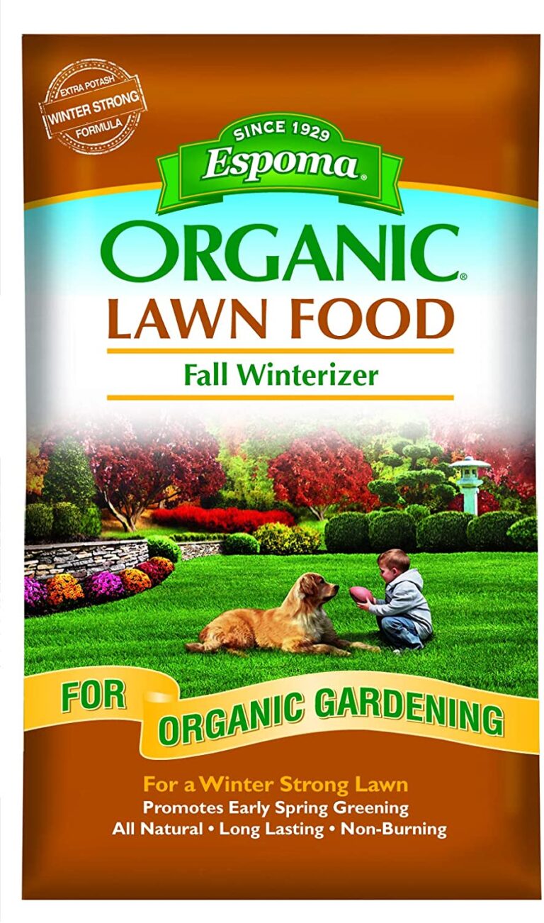 10 Best Organic Lawn Fertilizer Reviews & Guide 2020