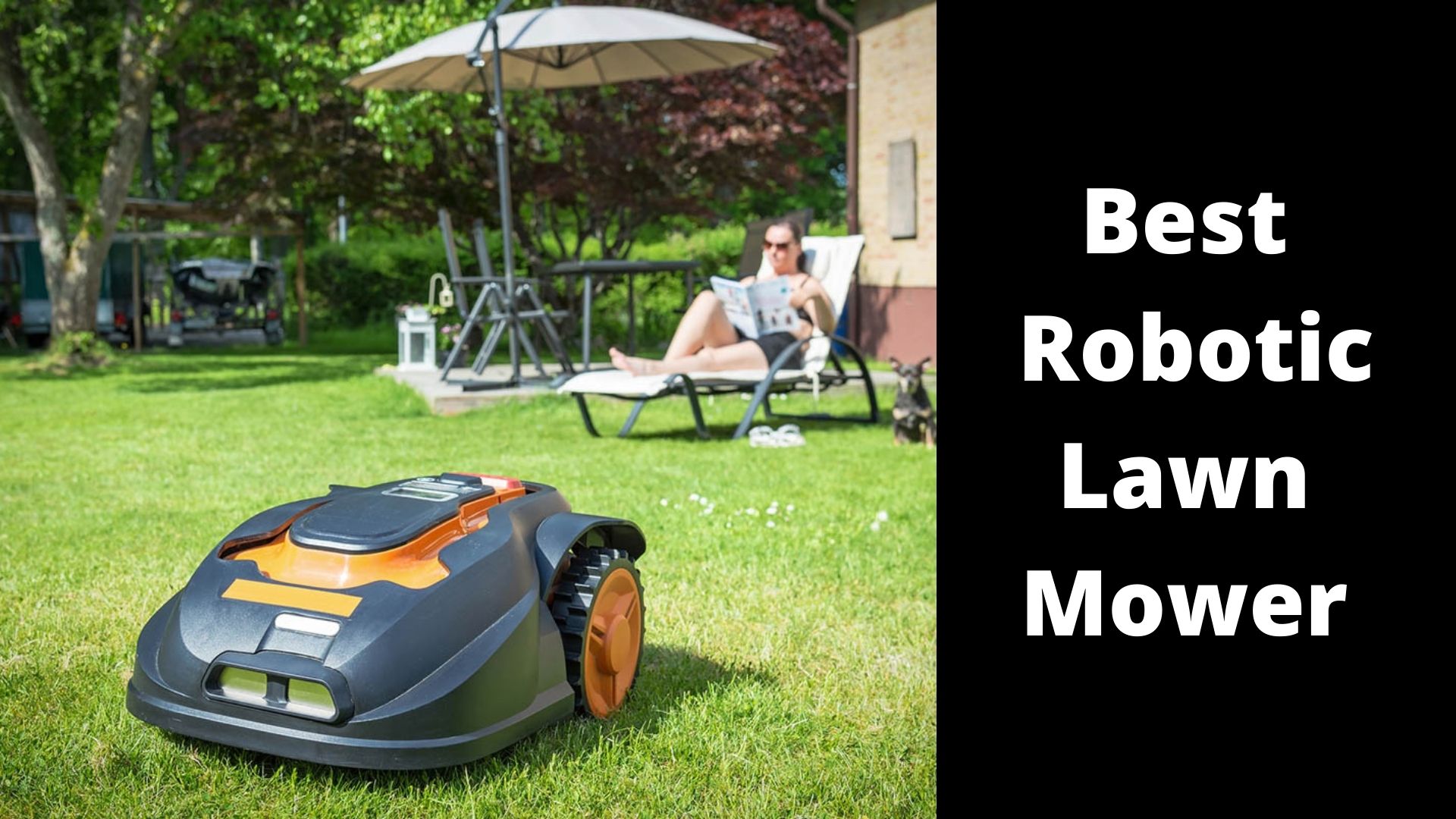 Best Robotic Lawn Mower